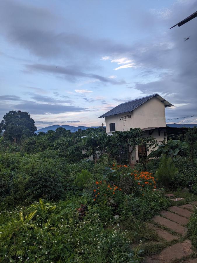 דירות Duc Trong Ivy Coffee Farm - Garden House מראה חיצוני תמונה