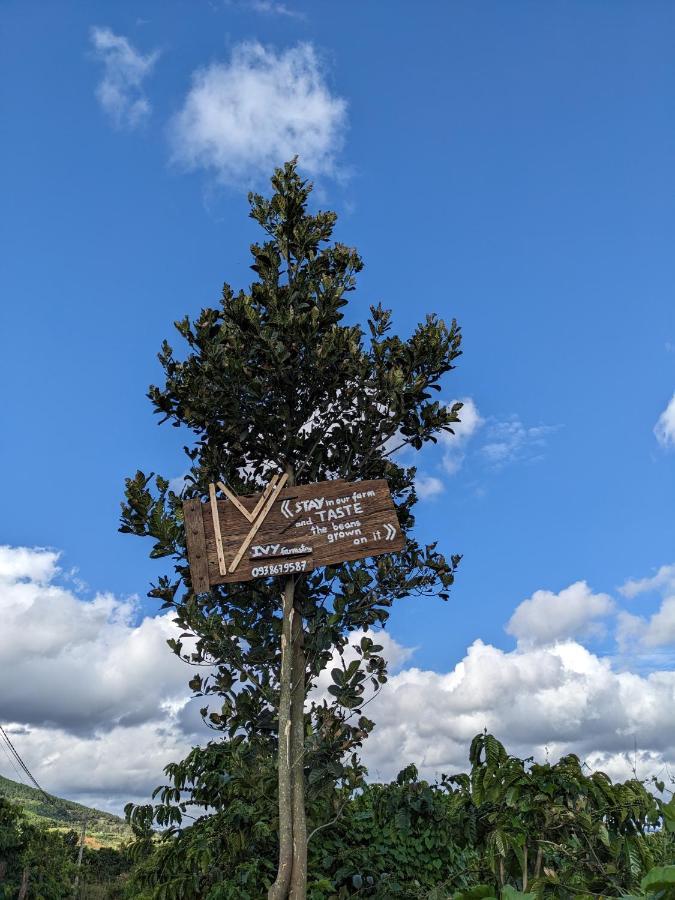 דירות Duc Trong Ivy Coffee Farm - Garden House מראה חיצוני תמונה