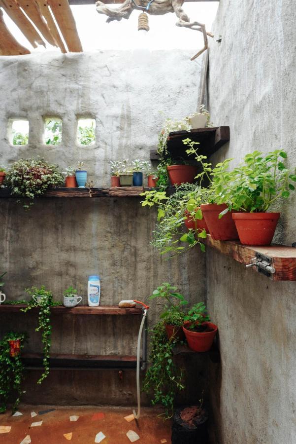 דירות Duc Trong Ivy Coffee Farm - Garden House מראה חיצוני תמונה