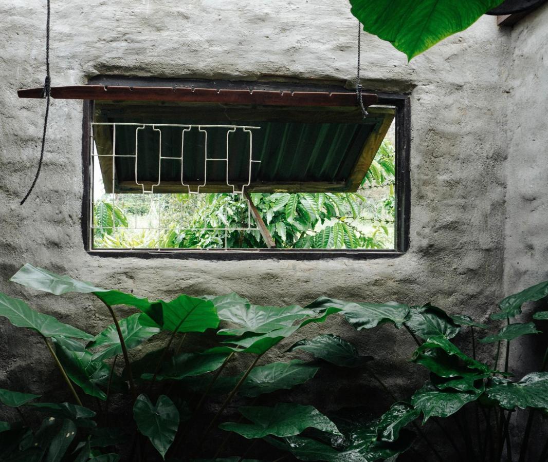 דירות Duc Trong Ivy Coffee Farm - Garden House מראה חיצוני תמונה