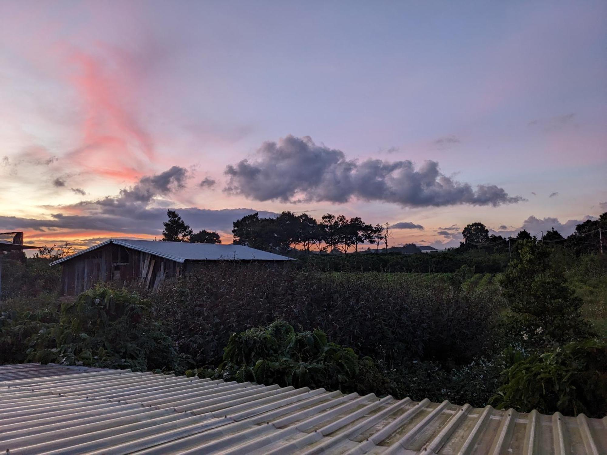 דירות Duc Trong Ivy Coffee Farm - Garden House חדר תמונה