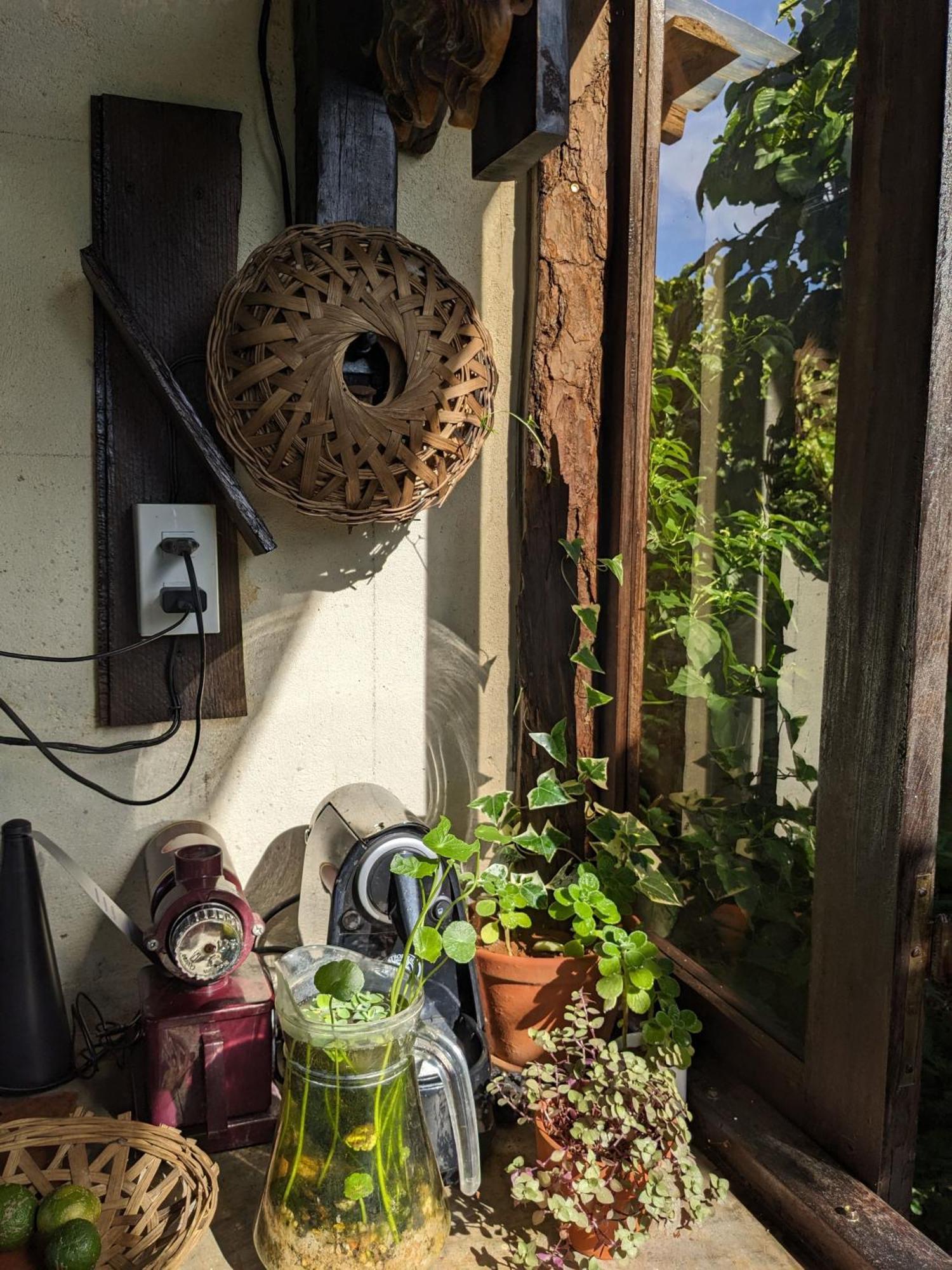 דירות Duc Trong Ivy Coffee Farm - Garden House מראה חיצוני תמונה