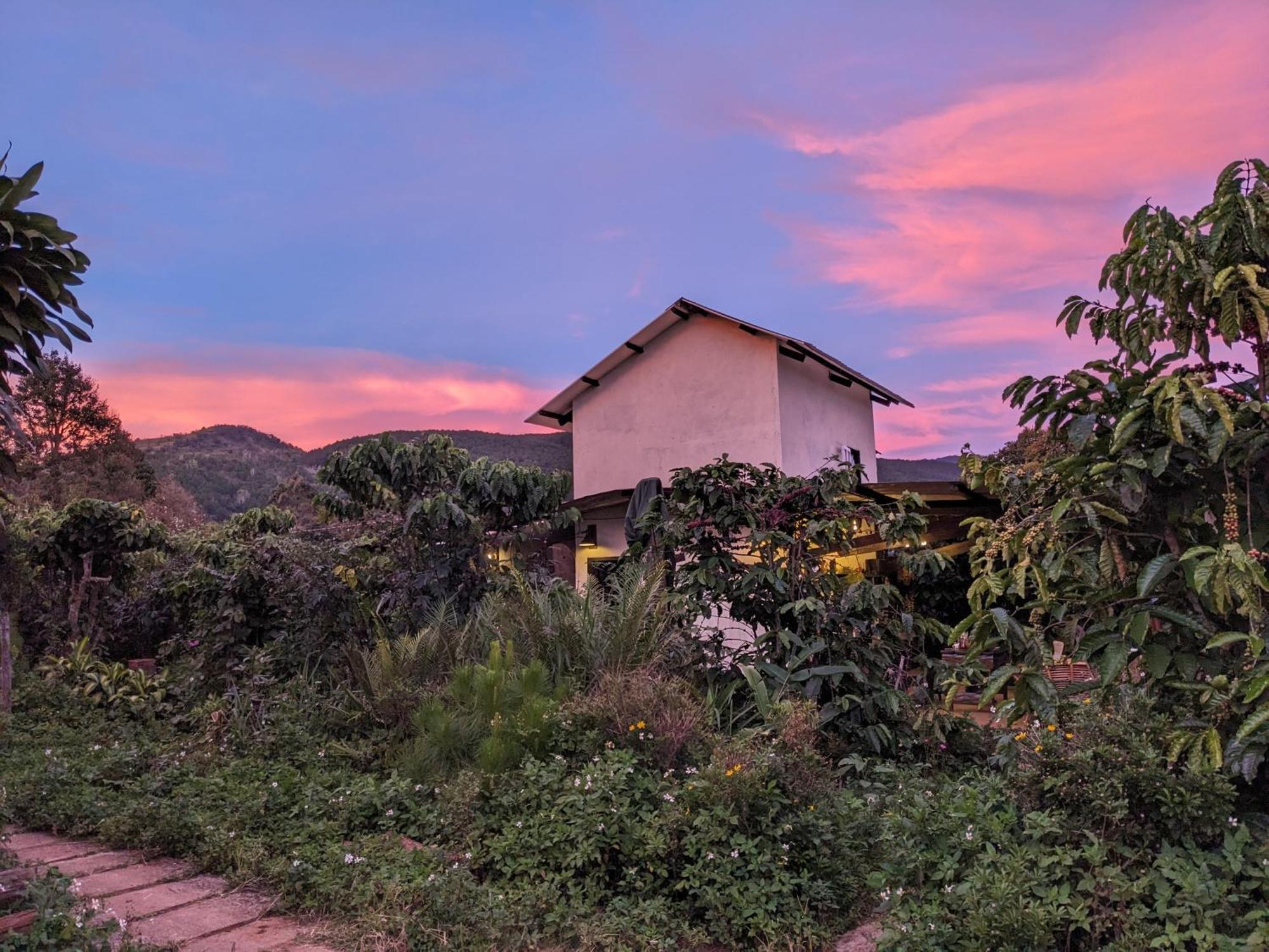 דירות Duc Trong Ivy Coffee Farm - Garden House מראה חיצוני תמונה
