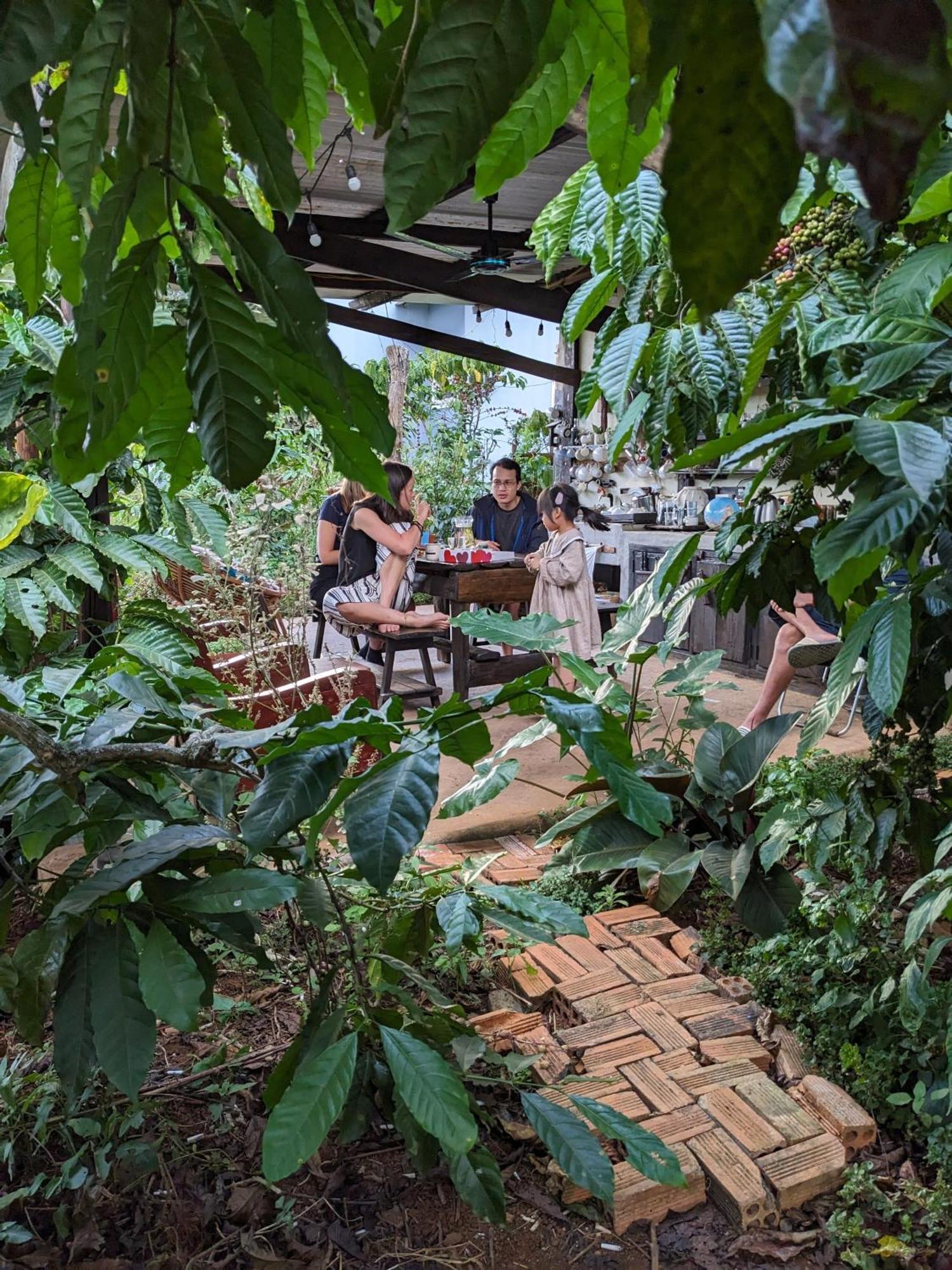 דירות Duc Trong Ivy Coffee Farm - Garden House מראה חיצוני תמונה