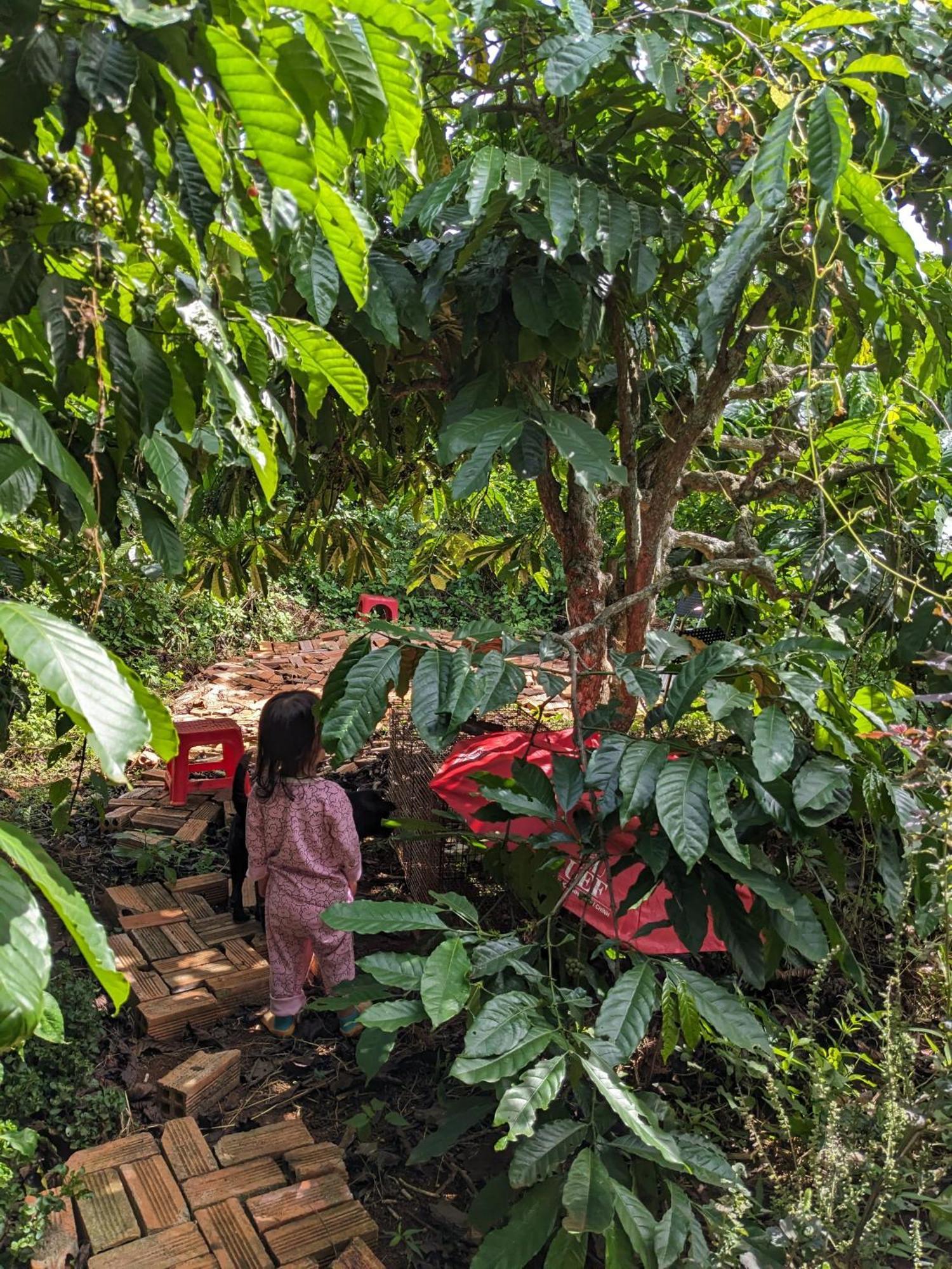 דירות Duc Trong Ivy Coffee Farm - Garden House מראה חיצוני תמונה