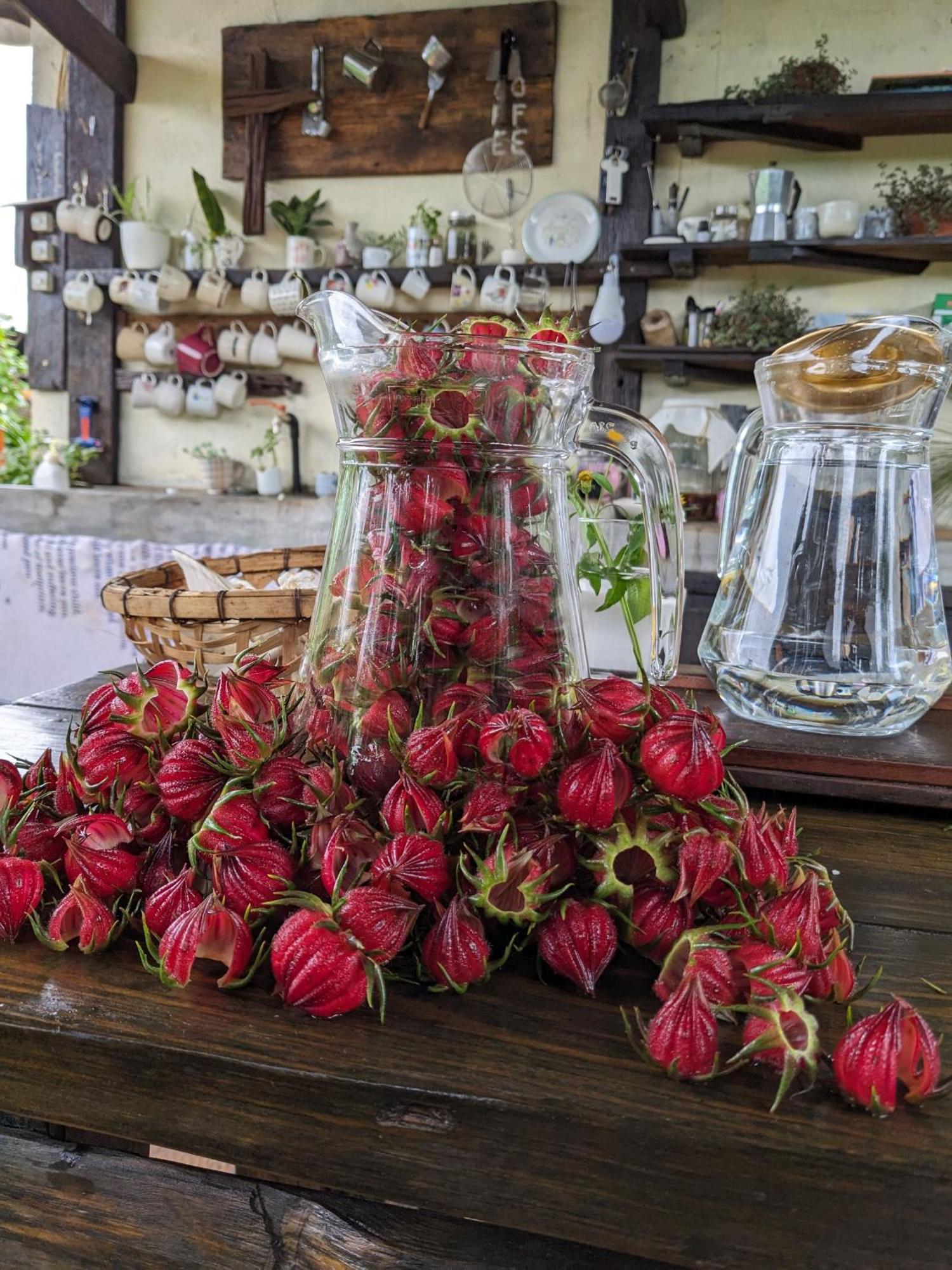 דירות Duc Trong Ivy Coffee Farm - Garden House מראה חיצוני תמונה