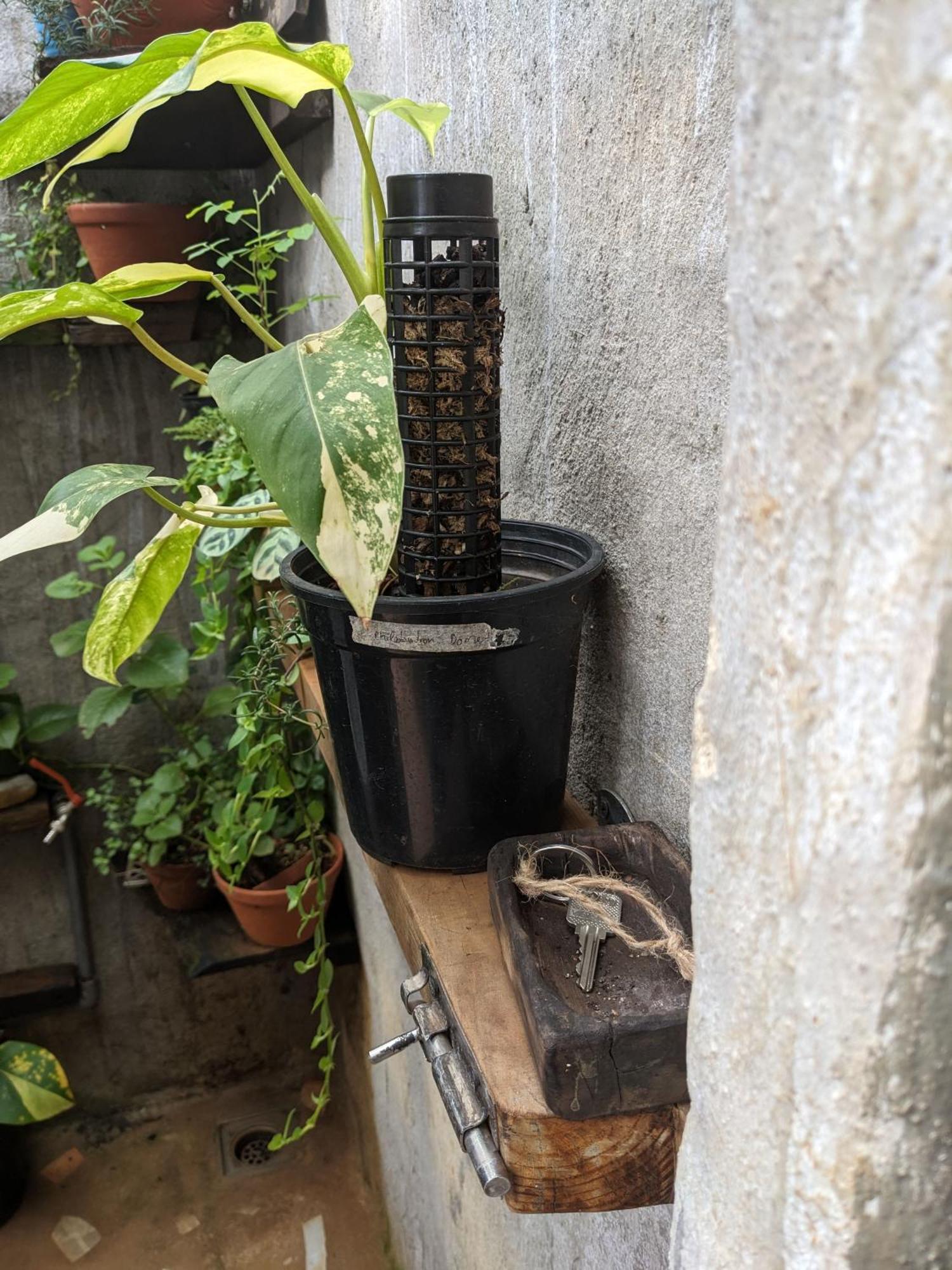 דירות Duc Trong Ivy Coffee Farm - Garden House מראה חיצוני תמונה