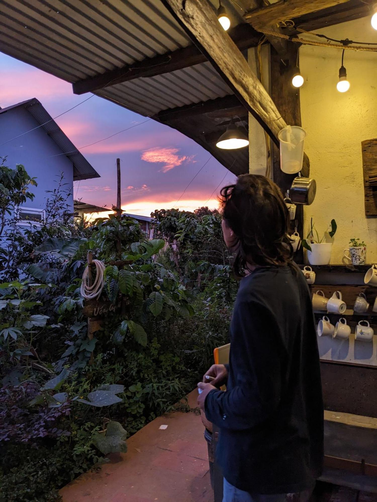 דירות Duc Trong Ivy Coffee Farm - Garden House מראה חיצוני תמונה