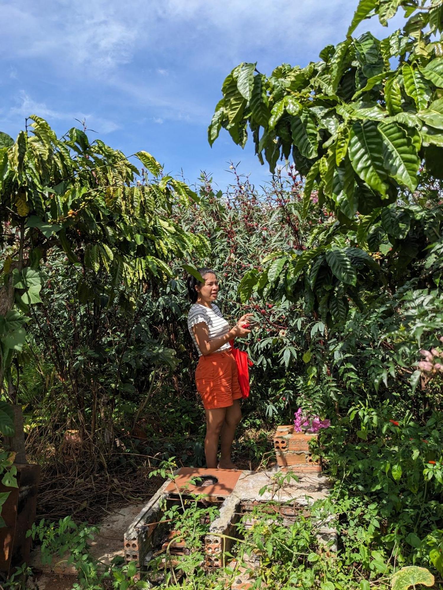 דירות Duc Trong Ivy Coffee Farm - Garden House מראה חיצוני תמונה
