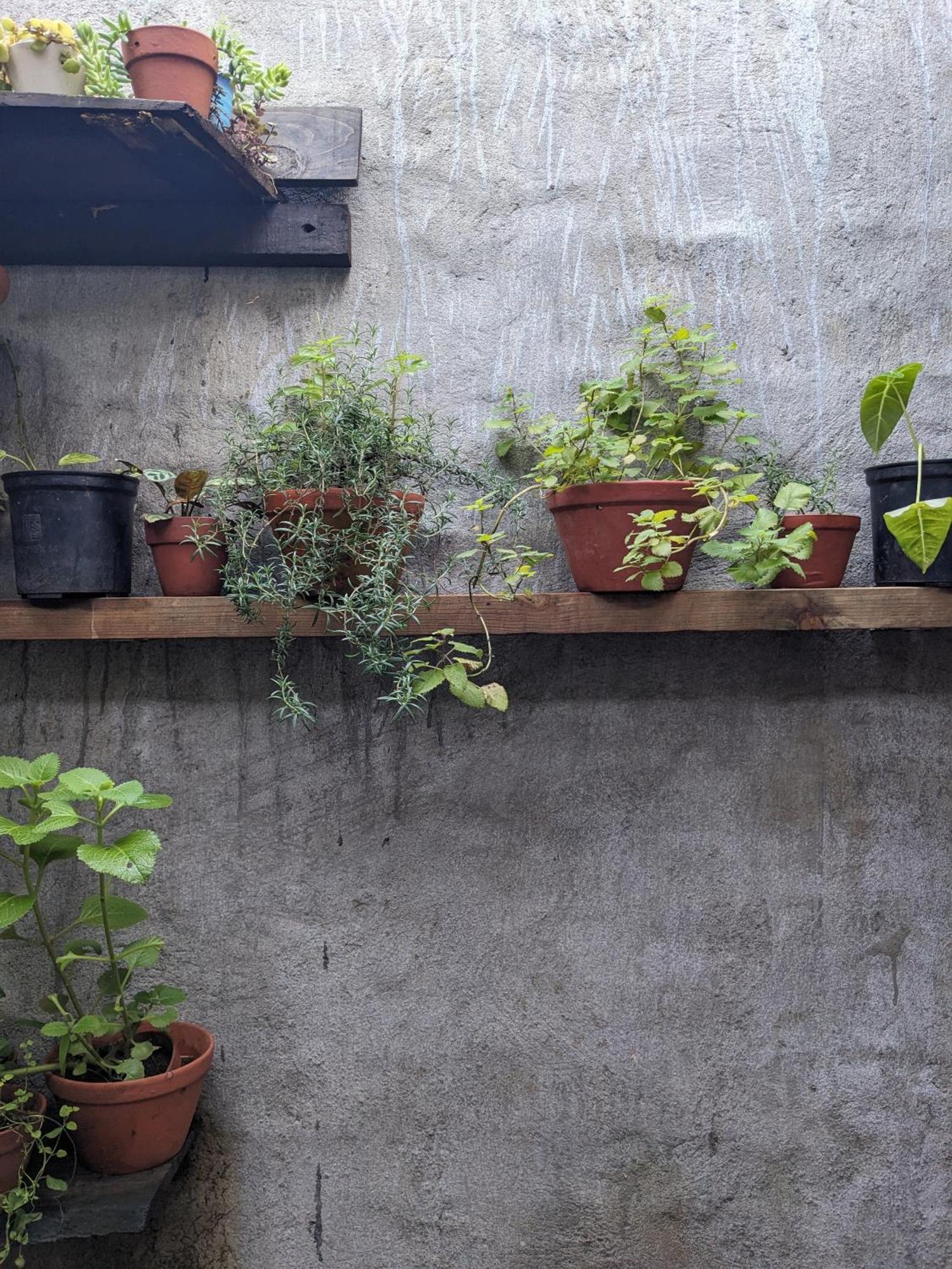 דירות Duc Trong Ivy Coffee Farm - Garden House מראה חיצוני תמונה