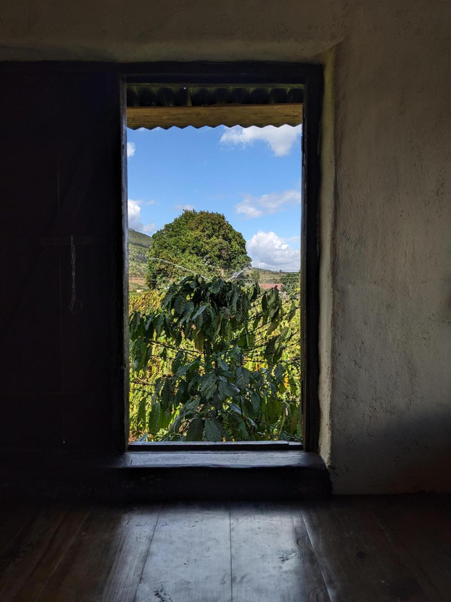 דירות Duc Trong Ivy Coffee Farm - Garden House מראה חיצוני תמונה