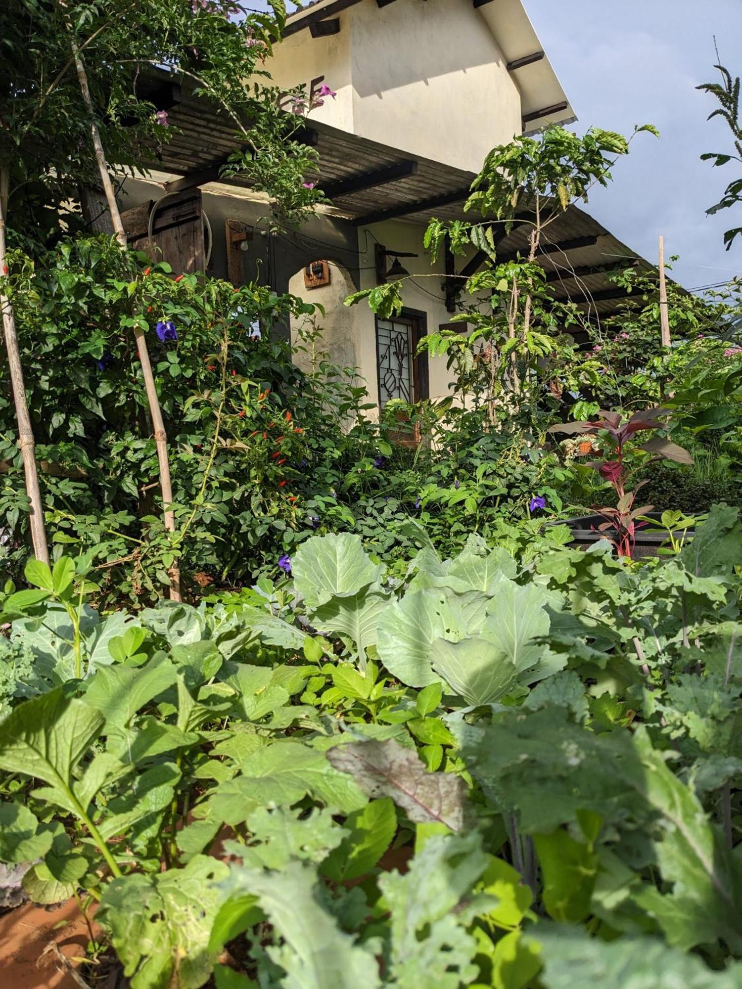 דירות Duc Trong Ivy Coffee Farm - Garden House מראה חיצוני תמונה