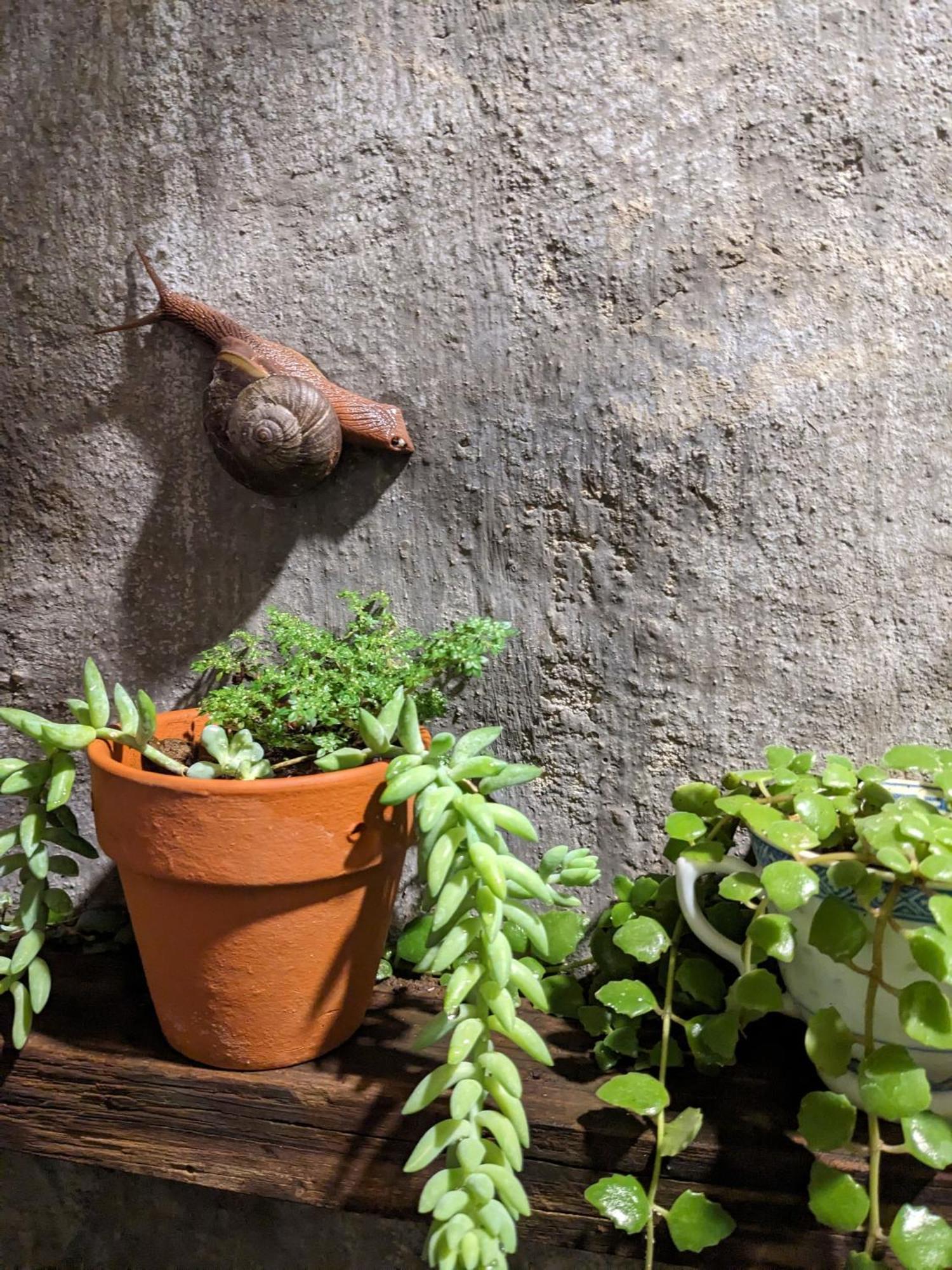 דירות Duc Trong Ivy Coffee Farm - Garden House מראה חיצוני תמונה
